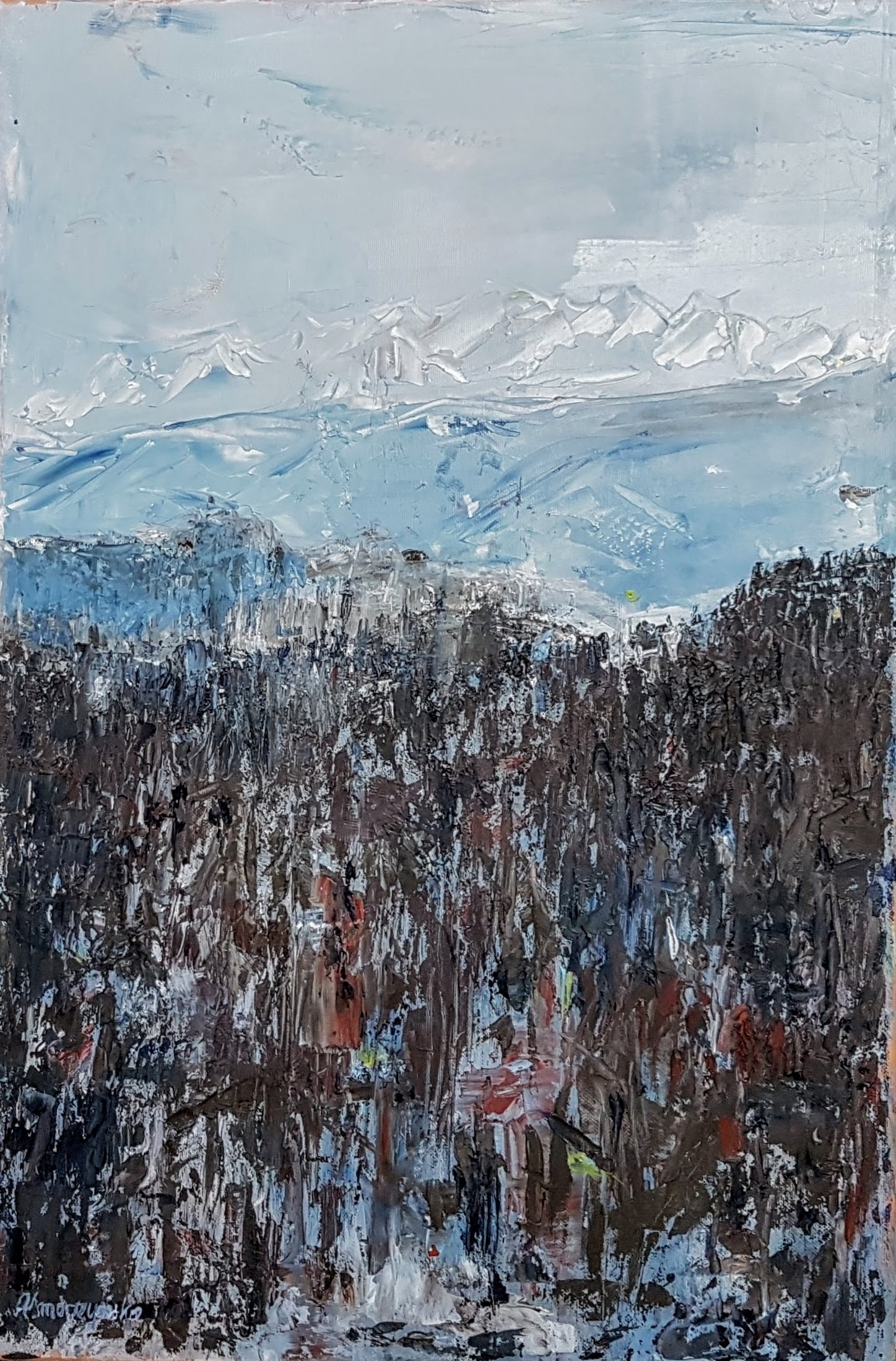 2020 Widok ze Stożka Tatry 40x60