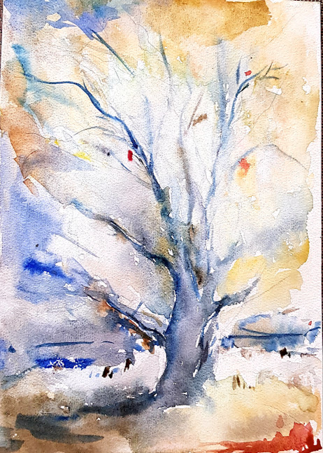 2024 Drzewo akwarela 21x29.5